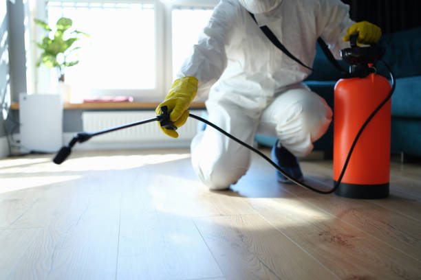 Reliable Biohazard contractor in Mesquite, NV by Dulley Family Biohazard Services